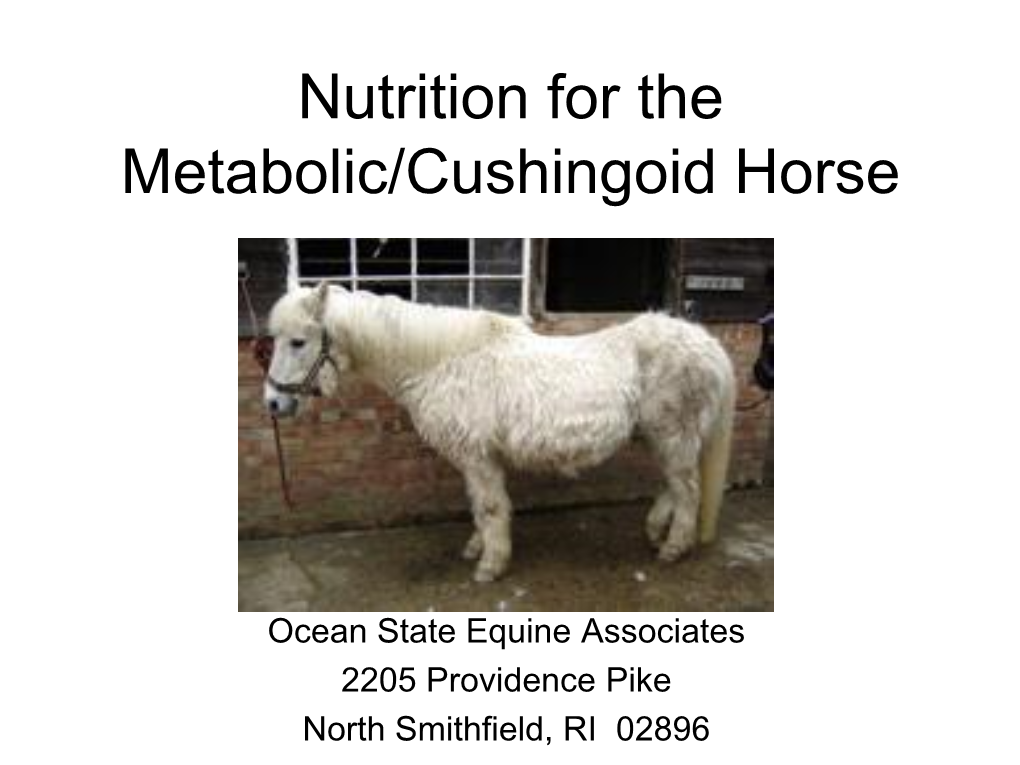 Feeding the Metabolic Horse