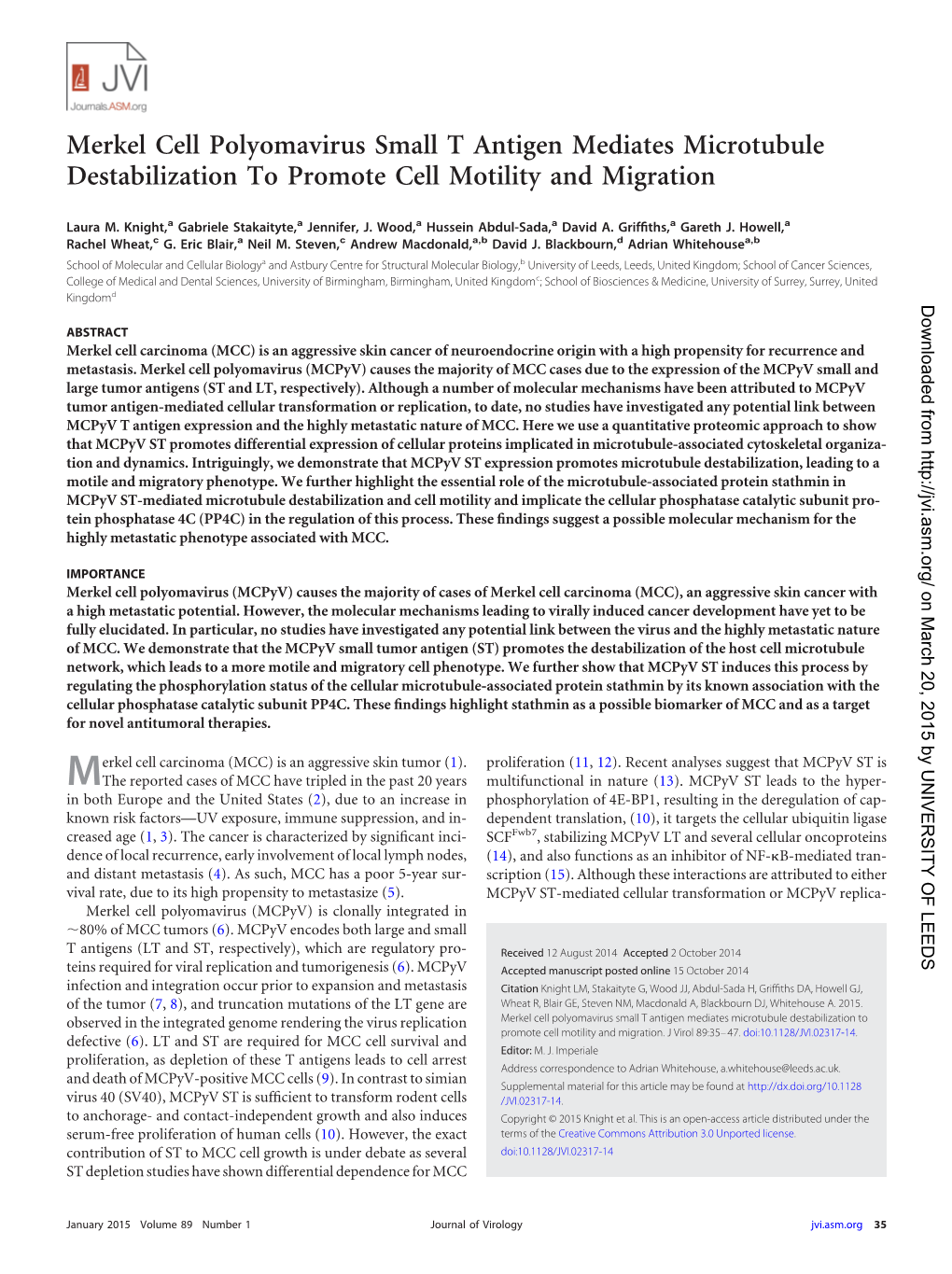 Merkel Cell Polyomavirus Small T Antigen Mediates Microtubule Destabilization to Promote Cell Motility and Migration