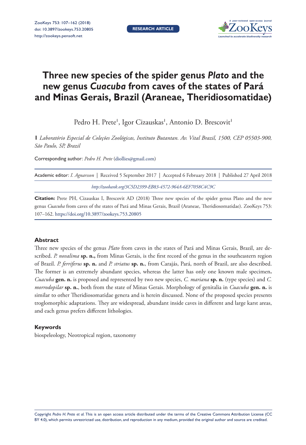 ﻿Three New Species of the Spider Genus Plato and the New Genus Cuacuba from Caves of the States of Pará and Minas Gerais