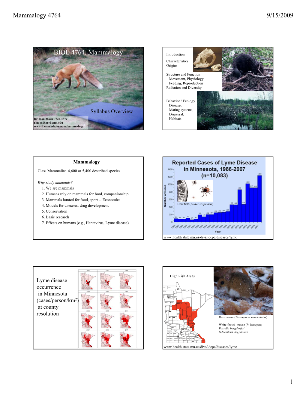 BIOL 4764. Mammalogy Introduction Characteristics Origins