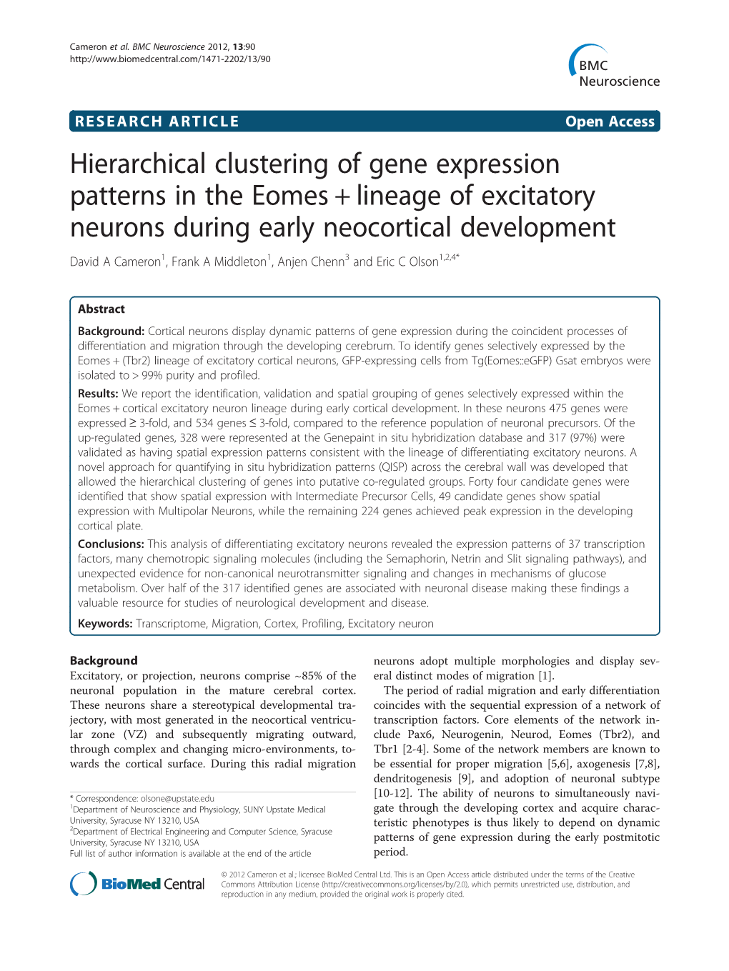 Hierarchical Clustering of Gene Expression Patterns in the Eomes +