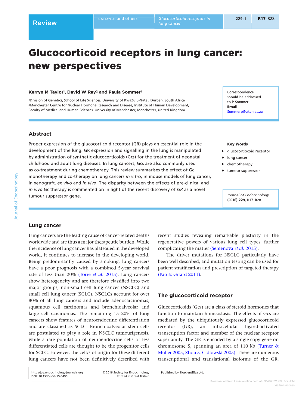 Glucocorticoid Receptors in Lung Cancer: New Perspectives
