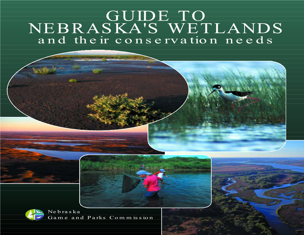 Guide to Nebraska's Wetlands.Qxp