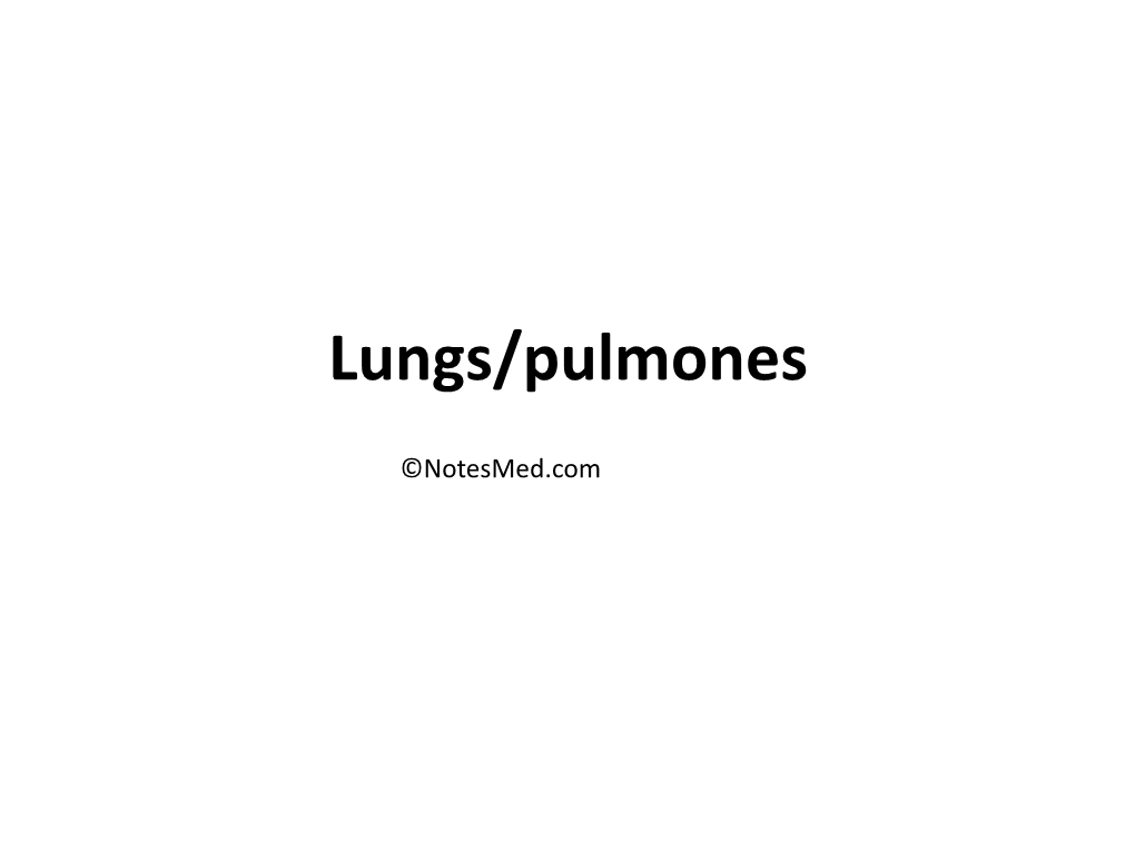 Lungs/Pulmones