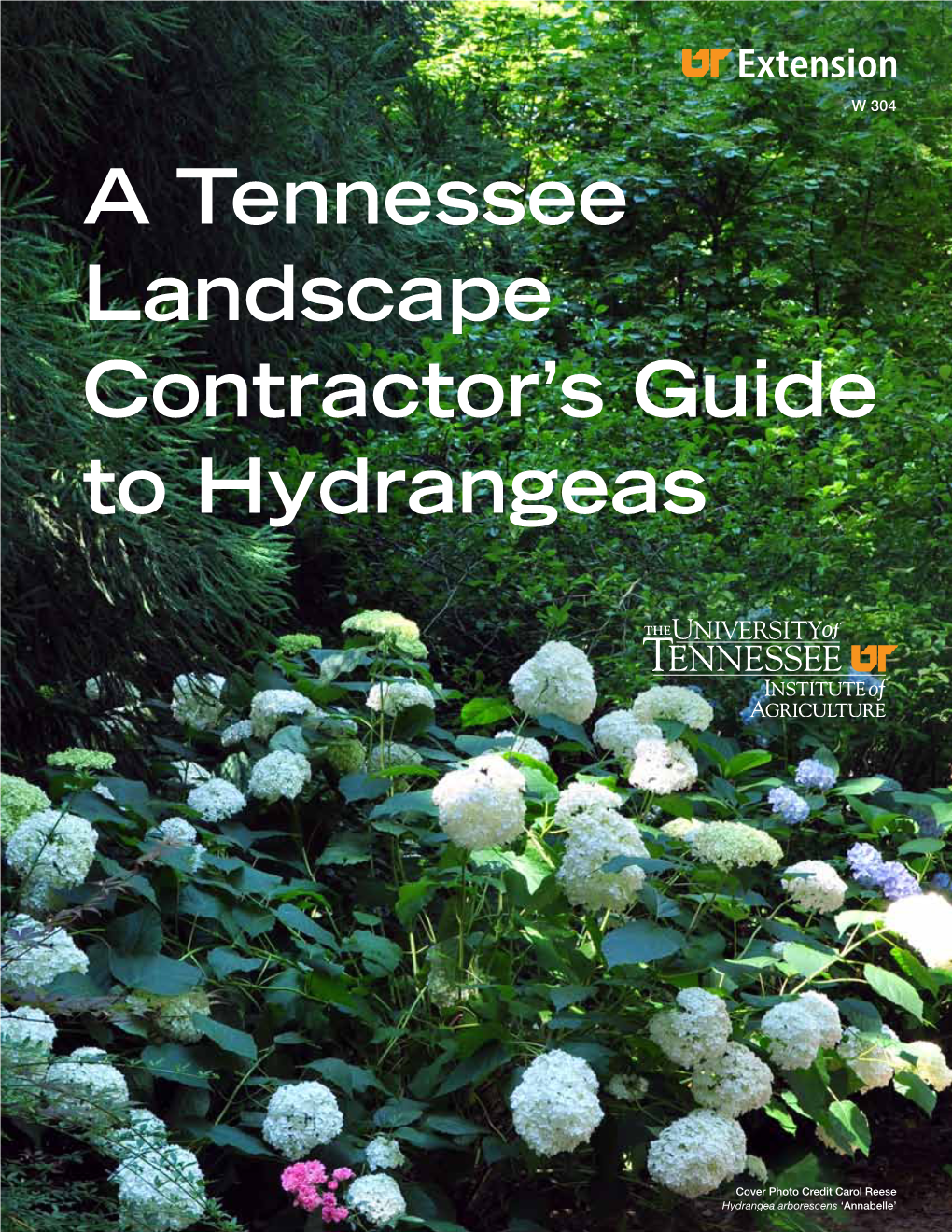 A Tennessee Landscape Contractor's Guide to Hydrangeas