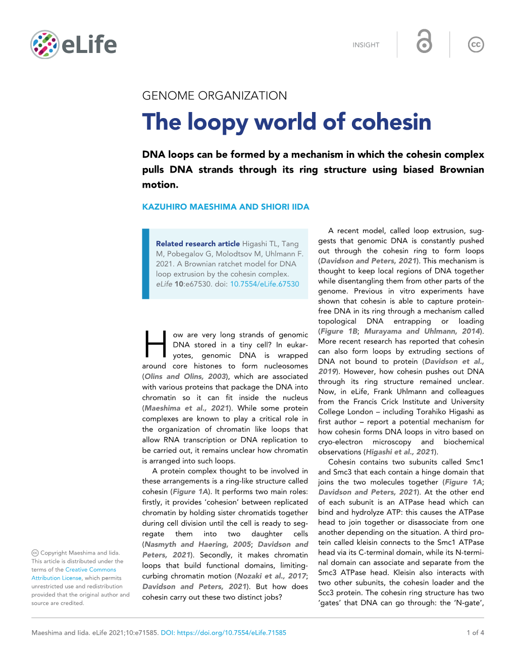 The Loopy World of Cohesin