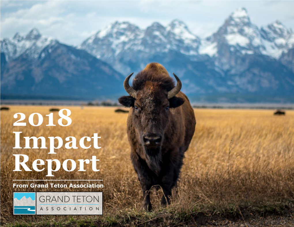 View 2018 Impact Report