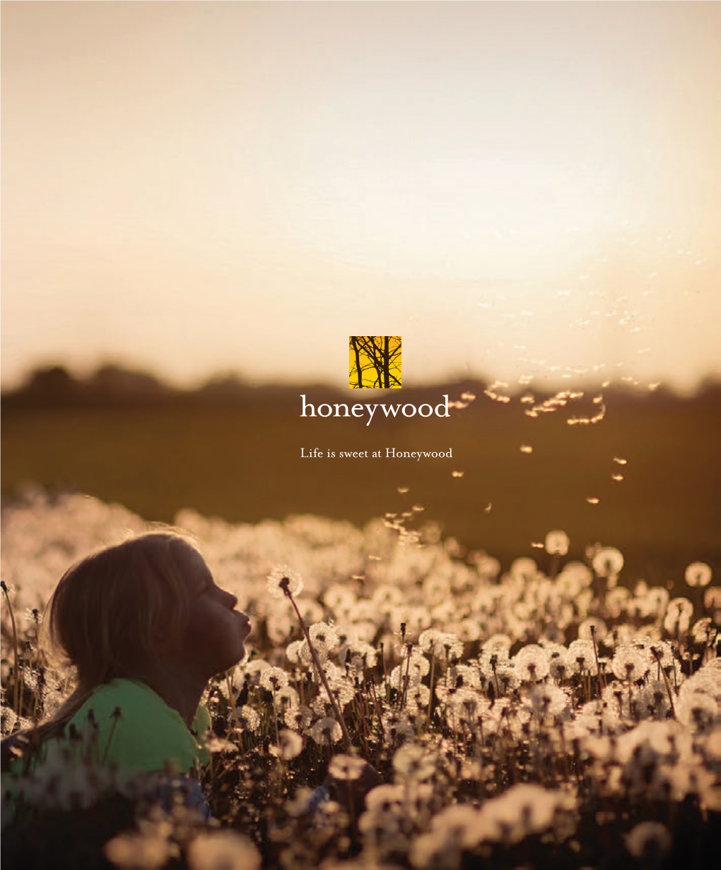 Honeywood Vision Brochure