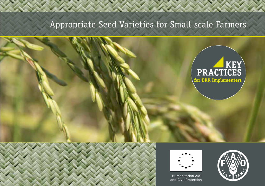 Appropriate Seed Varieties for Small-Scale Farmers