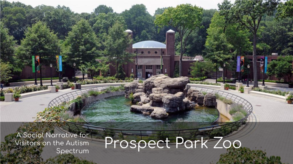 Prospect Park Zoo Today We Are Going to a Zoo