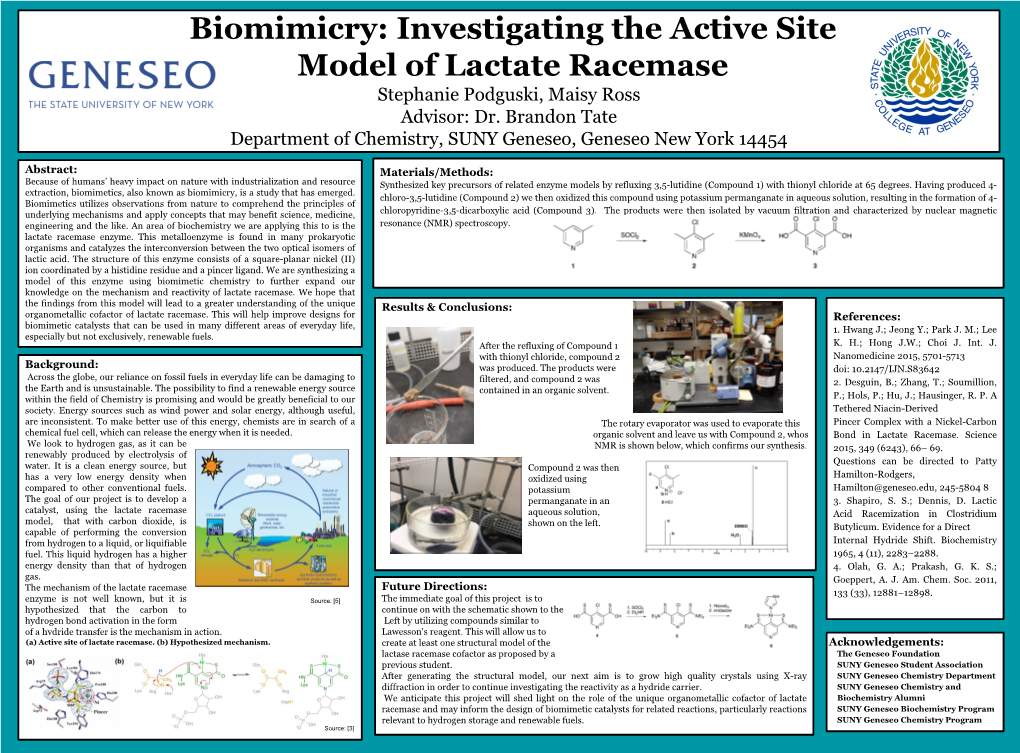 295Â•Fl Biomimicry: Investigating the Active Site Model of Lactate