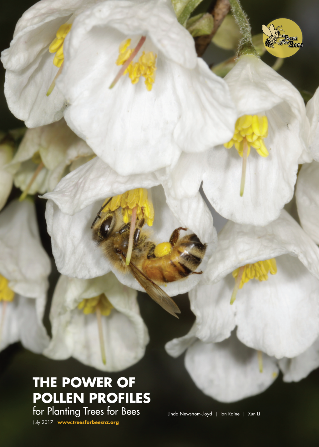 THE POWER of POLLEN PROFILES for Planting Trees for Bees Linda Newstrom-Lloyd | Ian Raine | Xun Li July 2017 1 I II III IV