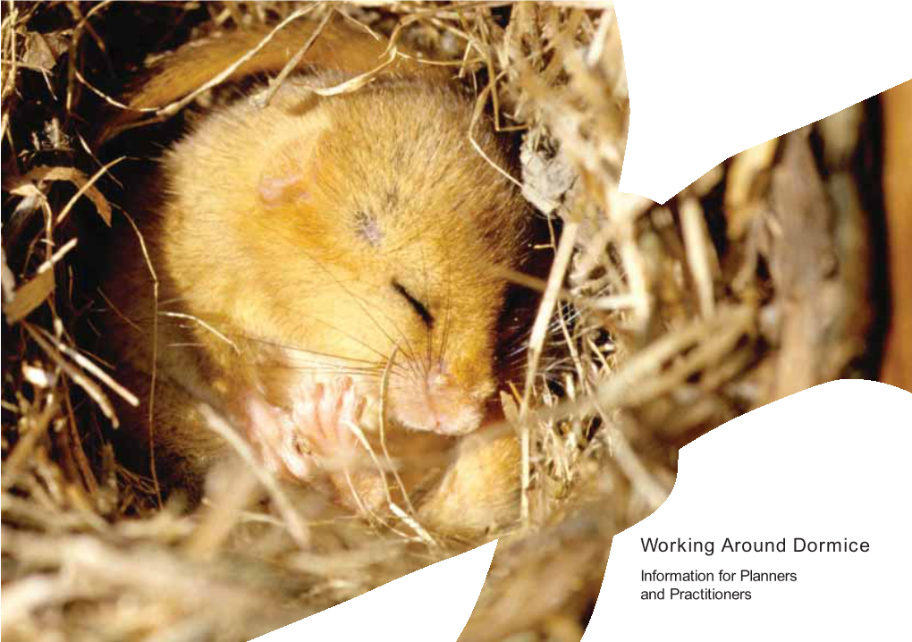 Working Around Dormice Information for Planners and Practitioners