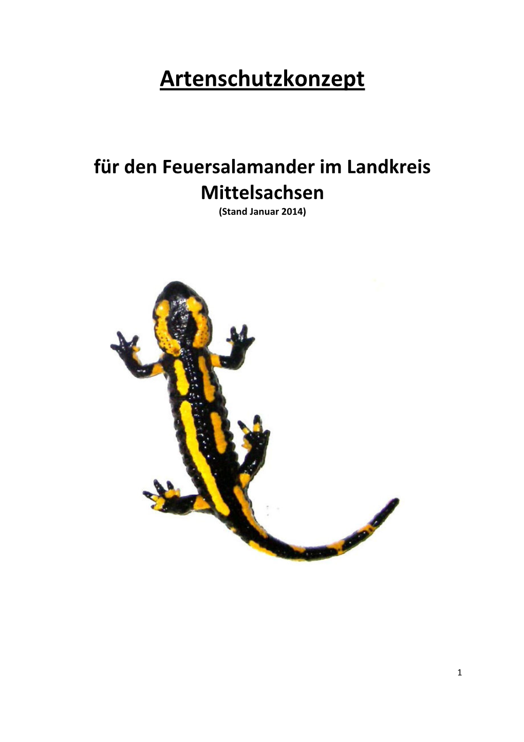 Artenschutzkonzept Feuersalamander (PDF)