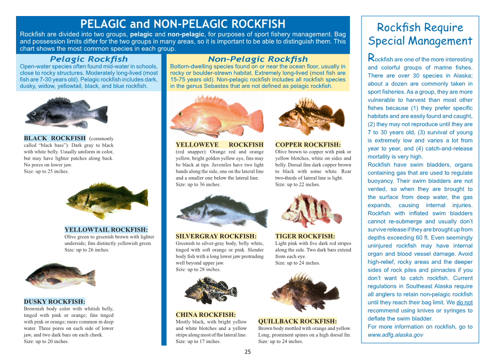 Pelagic and Non-Pelagic Rockfish Rockfish Require Rockfish Are Divided Into Two Groups, Pelagic and Non-Pelagic, for Purposes of Sport Fishery Management