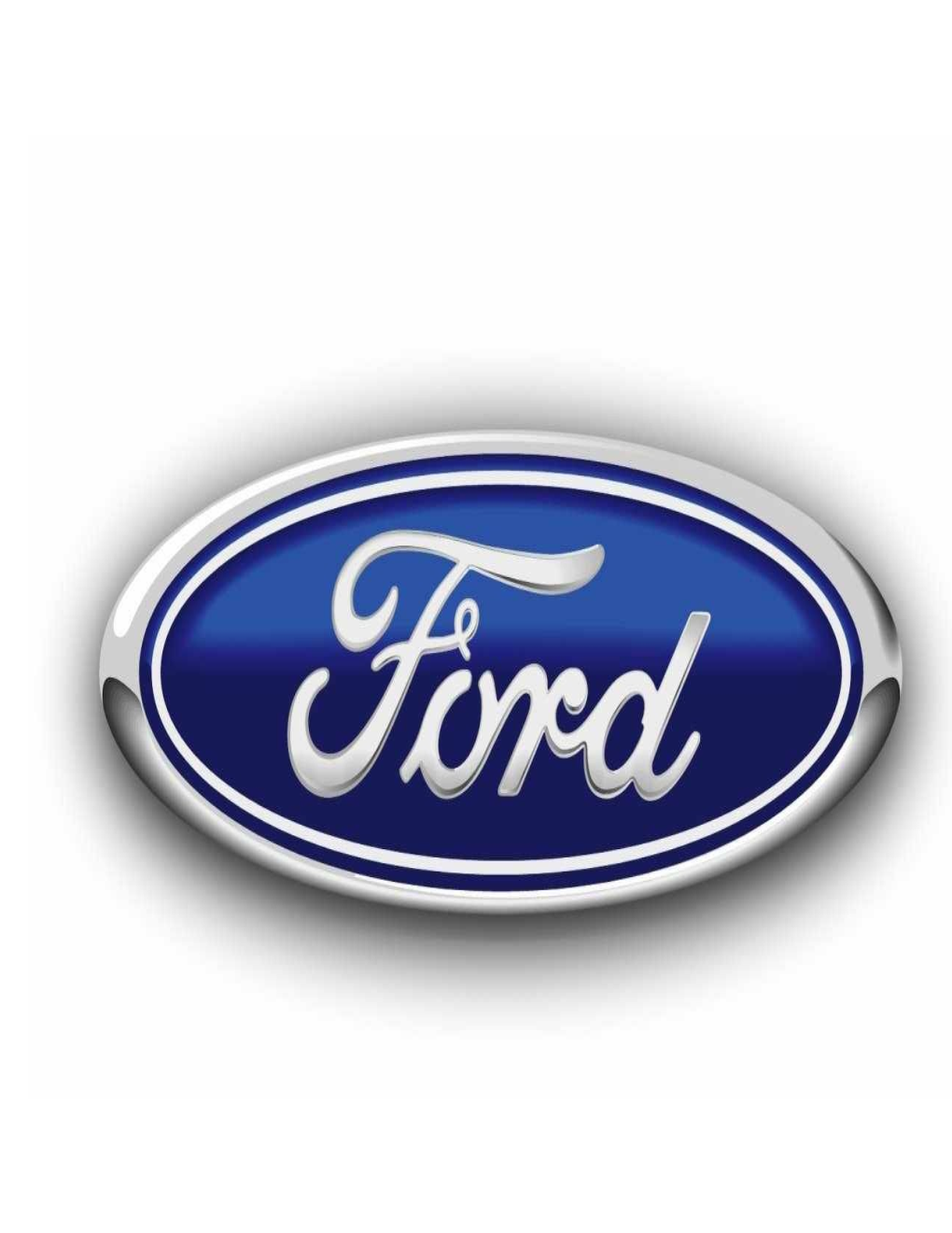 Ford Motor Company Has Become One of the Largest Motor Industries in the World