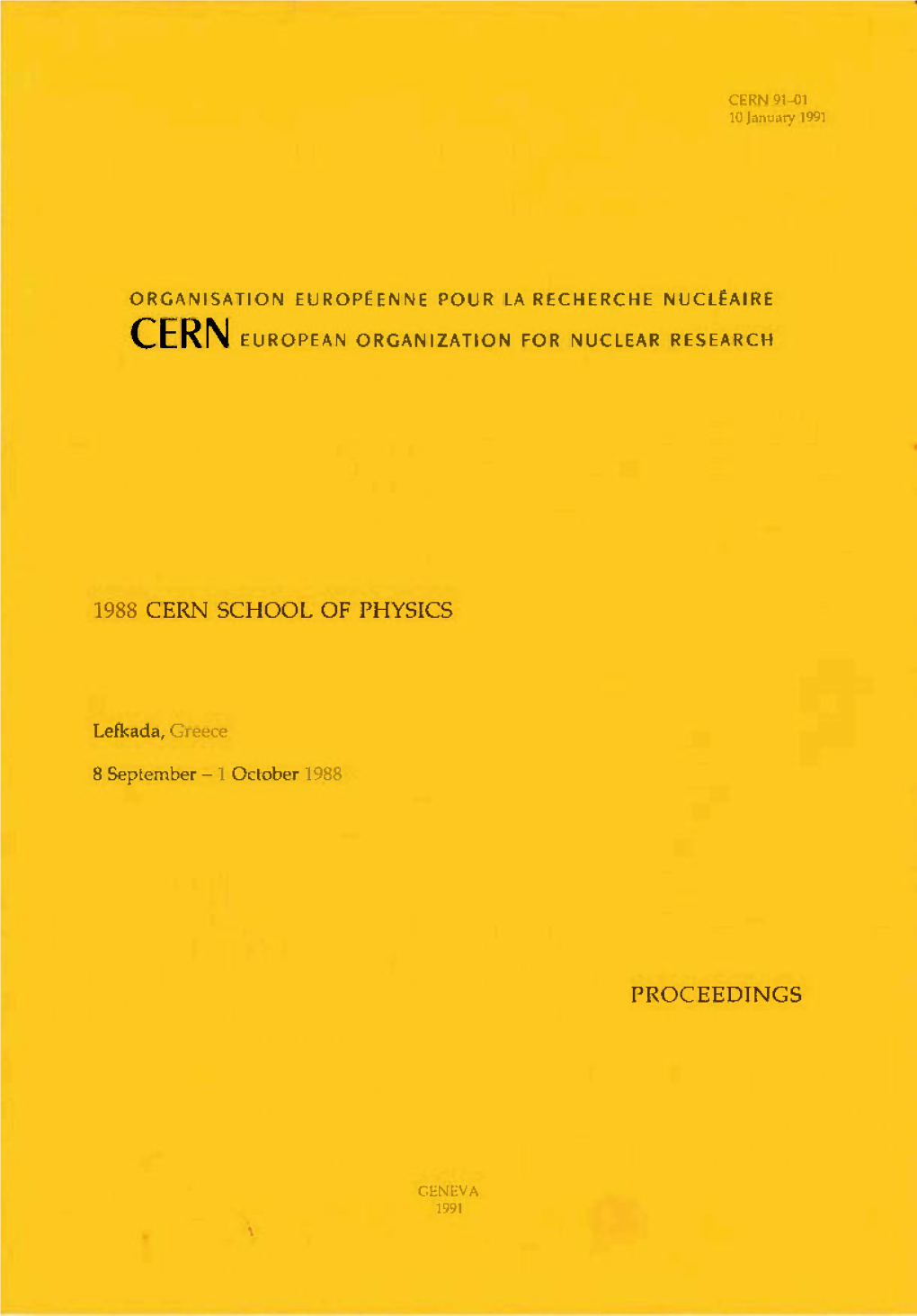 1988 Cern School of Physics Proceedings
