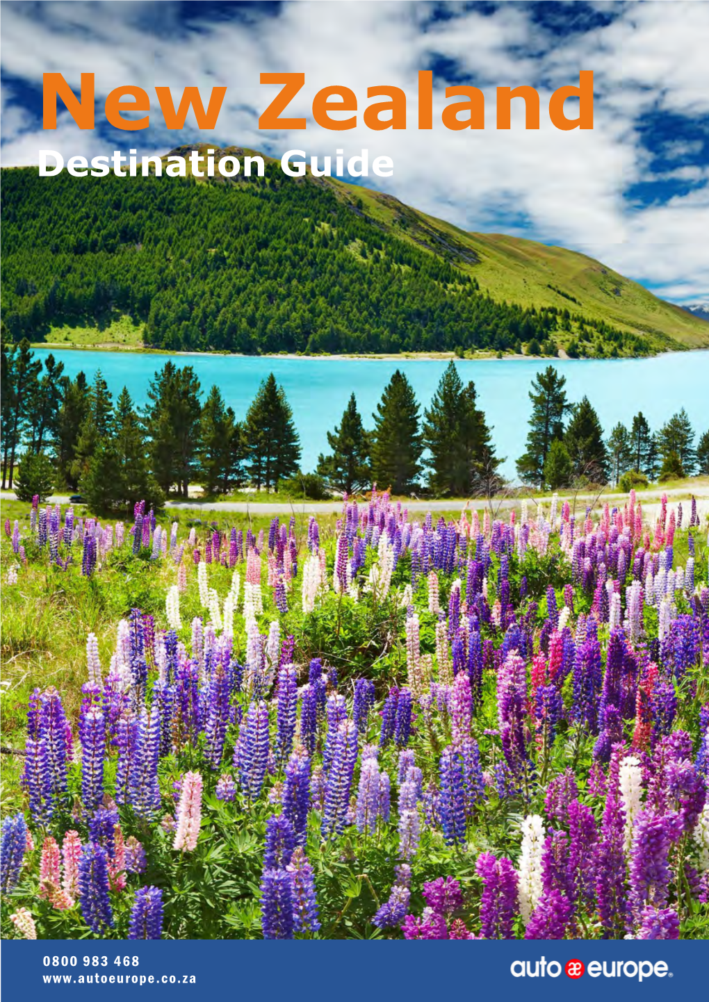 New Zealand Driving Guide