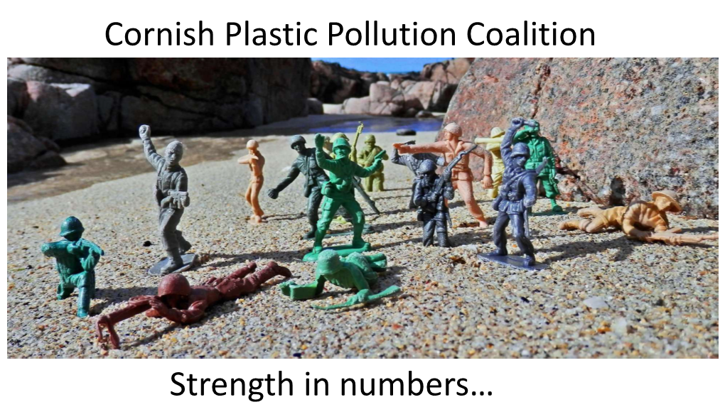 Claire Wallerstein Plastics Pollution SWME17