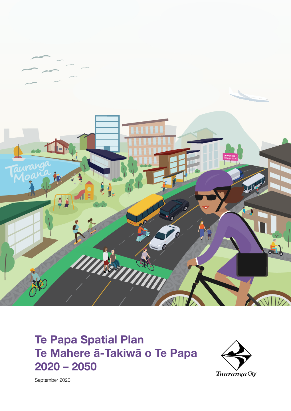 Te Papa Spatial Plan 2020–2050