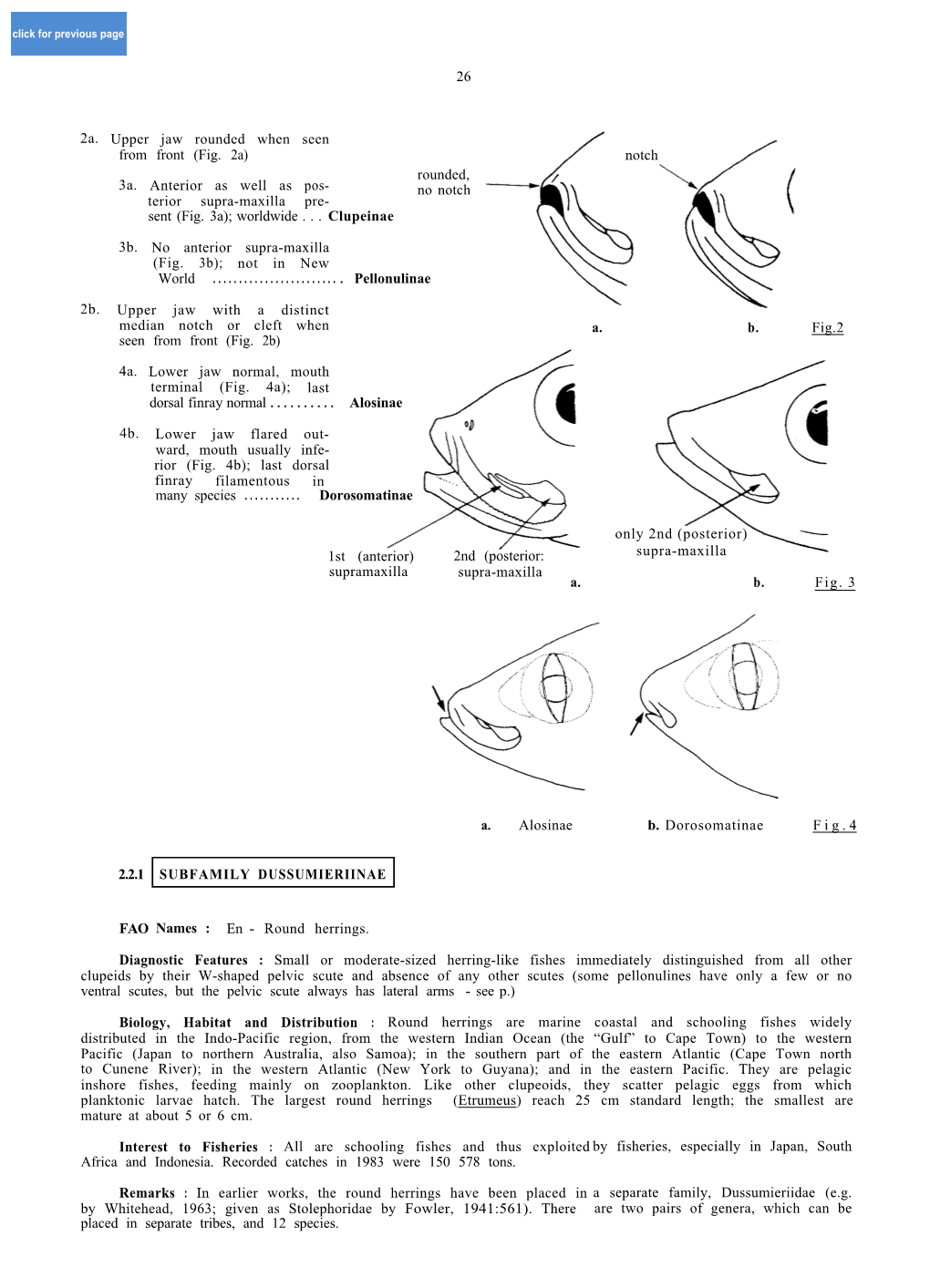 26 3A. Anterior As Well As Pos- Terior Supra-Maxilla Pre- Sent (Fig. 3A); Worldwide . . . Clupeinae 3B. No Anterior Supra-Maxill