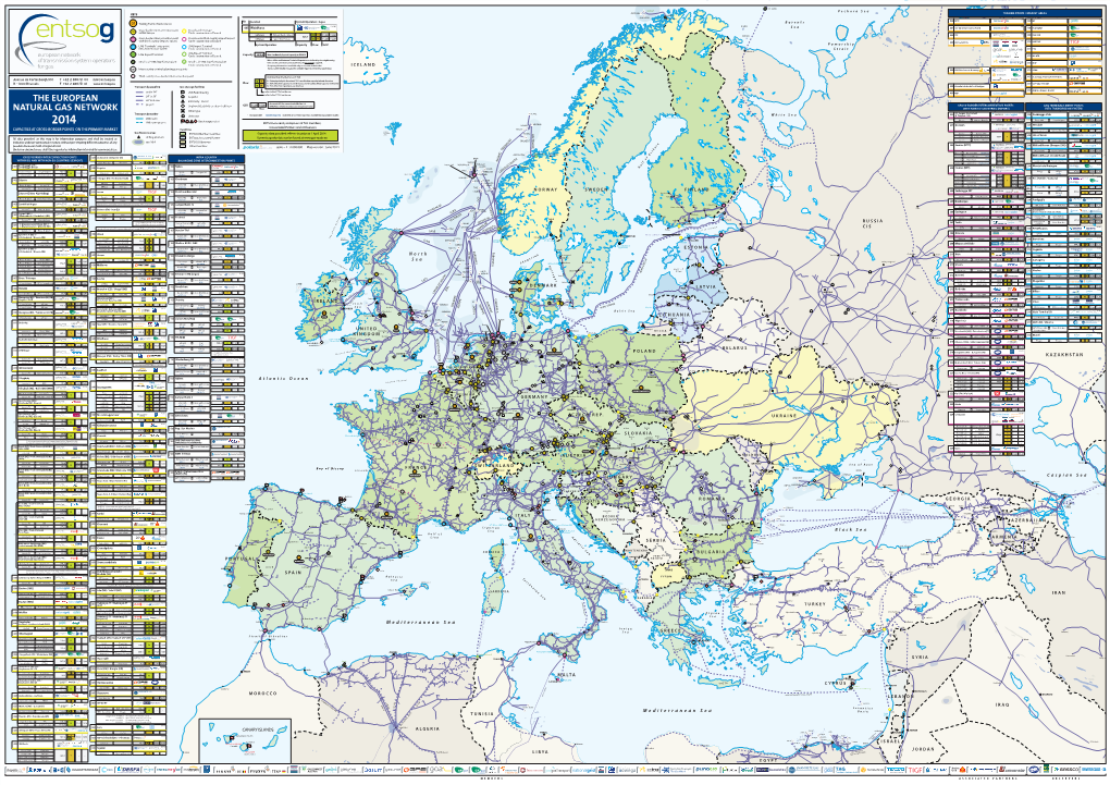 The European Natural Gas Network