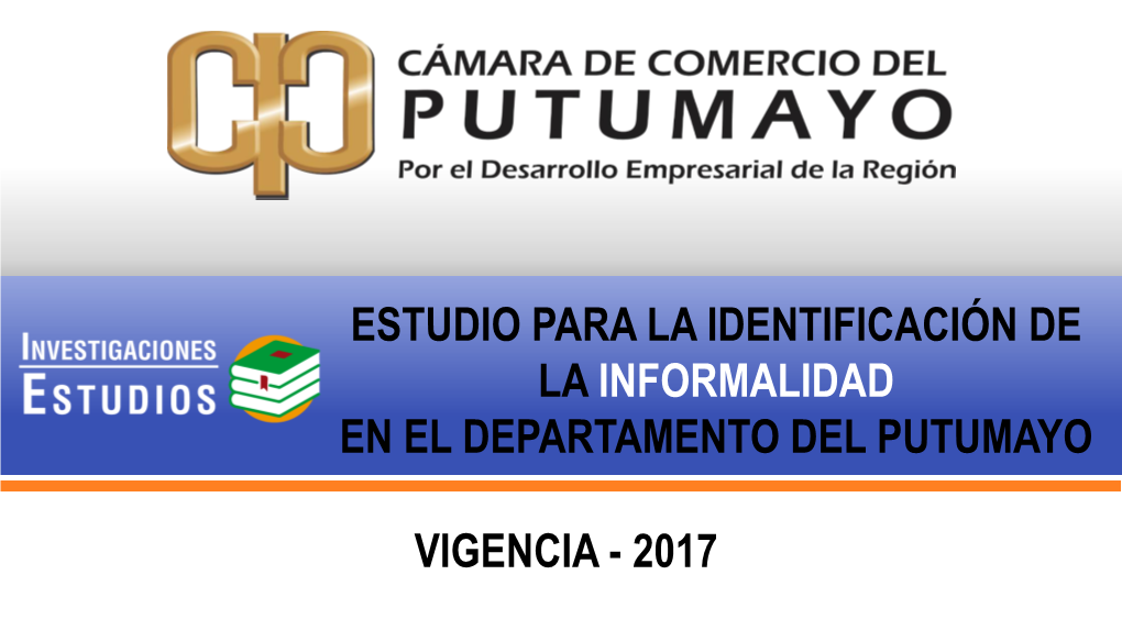 Estudio-Informalidad-2017.Pdf