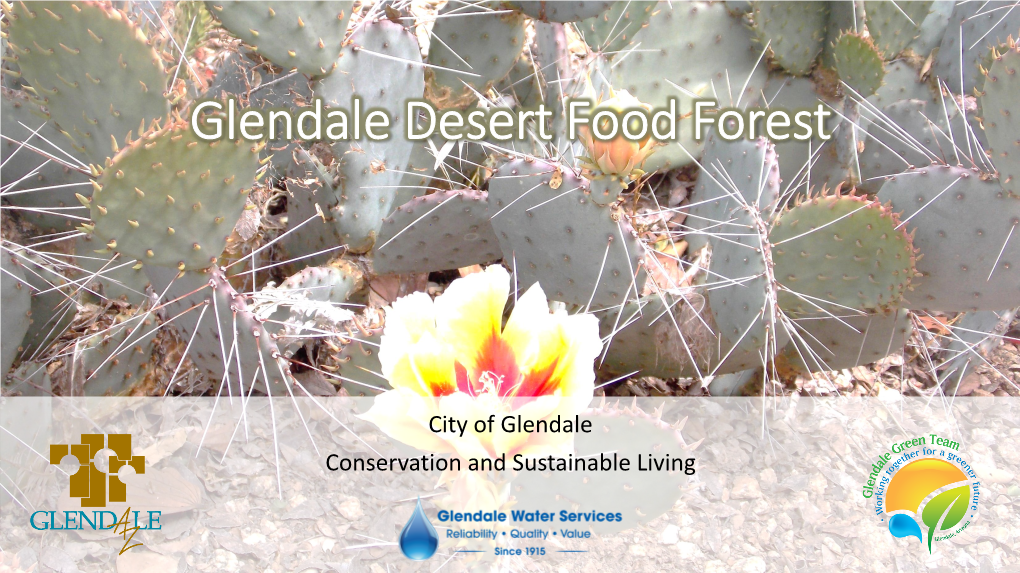 Glendale Desert Food Forest