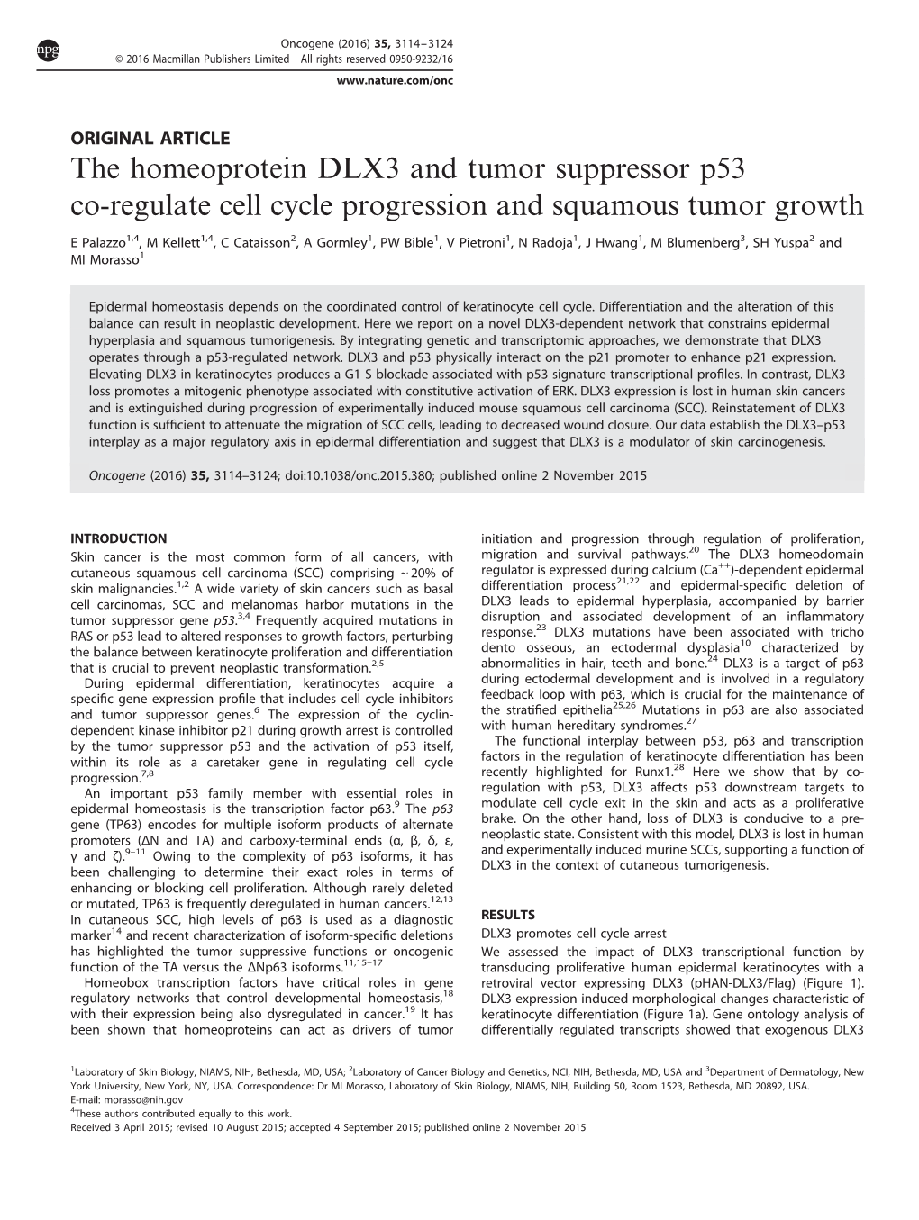 The Homeoprotein DLX3 and Tumor Suppressor P53 Co-Regulate Cell Cycle Progression and Squamous Tumor Growth