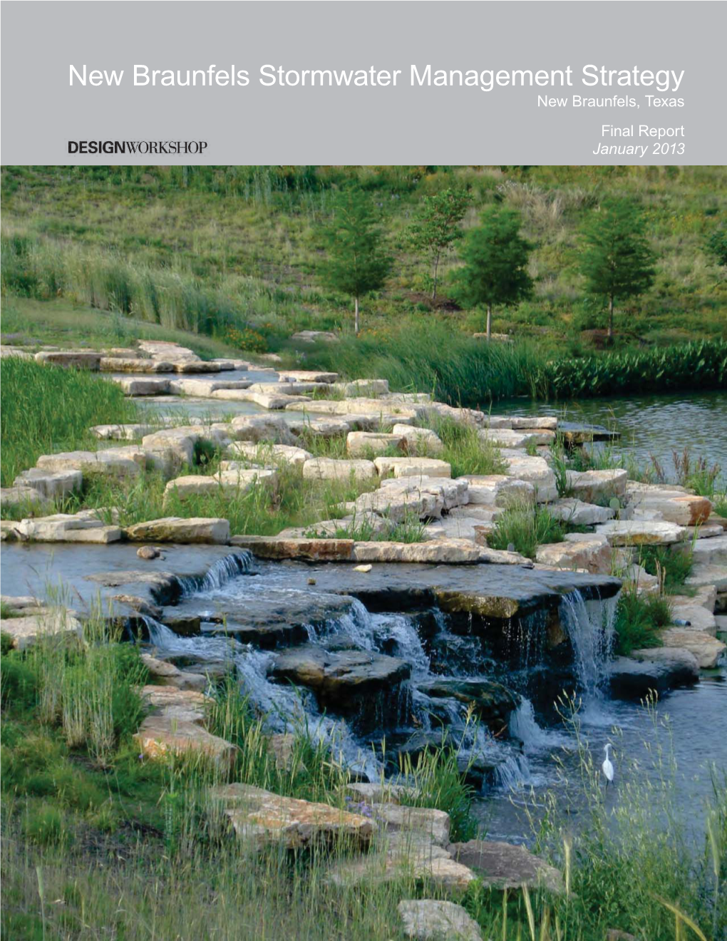 New Braunfels Stormwater Management Strategy New Braunfels, Texas Final Report January 2013