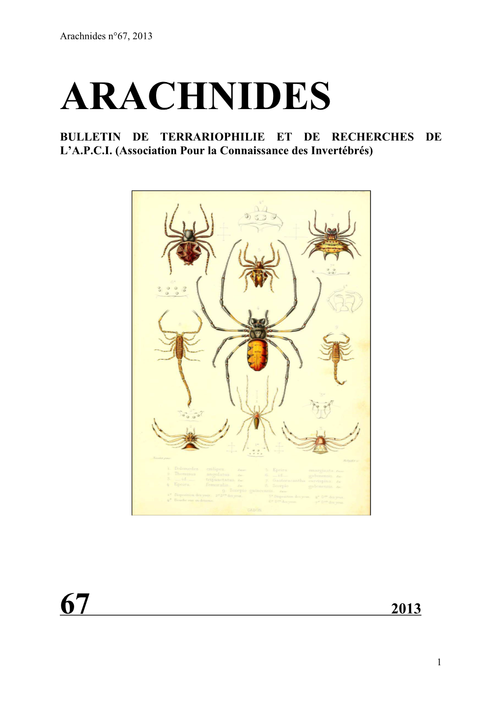 Arachnides N°67, 2013