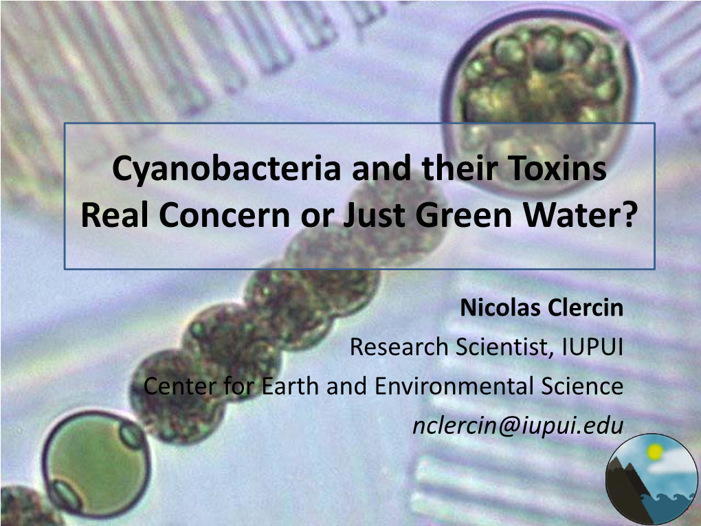 Cyanobacteria and Their Toxins Real Concern Or Just Green Water?