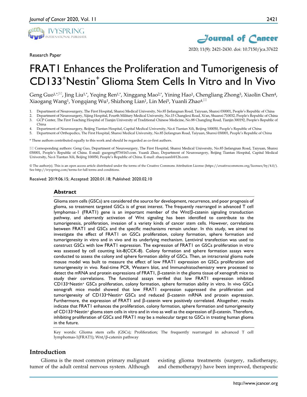 FRAT1 Enhances the Proliferation and Tumorigenesis of CD133+Nestin+