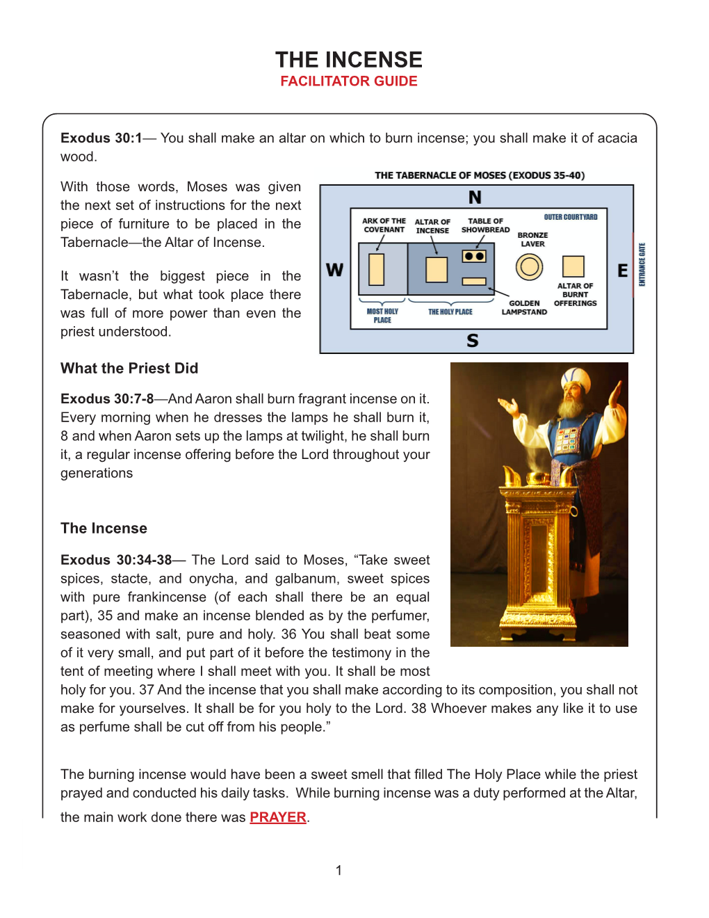 The Incense Facilitator Guide