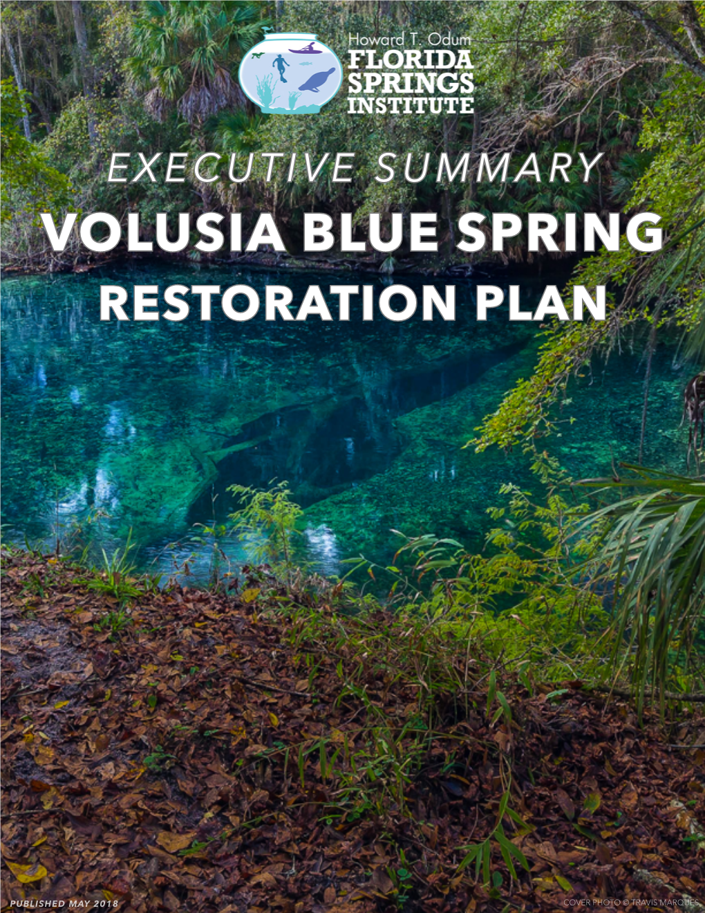 Volusia Blue Spring Restoration Plan