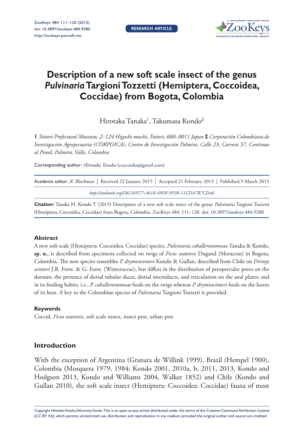 ﻿Description of a New Soft Scale Insect of the Genus Pulvinaria Targioni