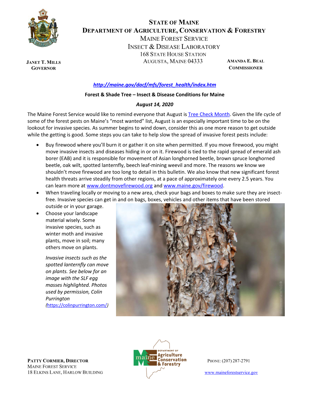 Forest & Shade Tree – Insect & Disease Conditions for Maine: August 14, 2020