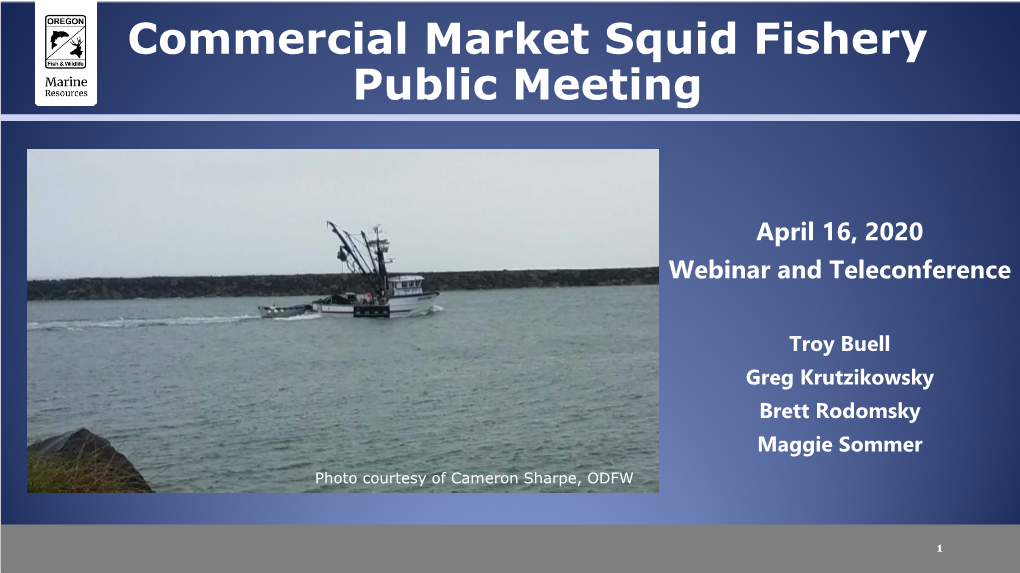 Commercial Market Squid Fishery Public Meeting
