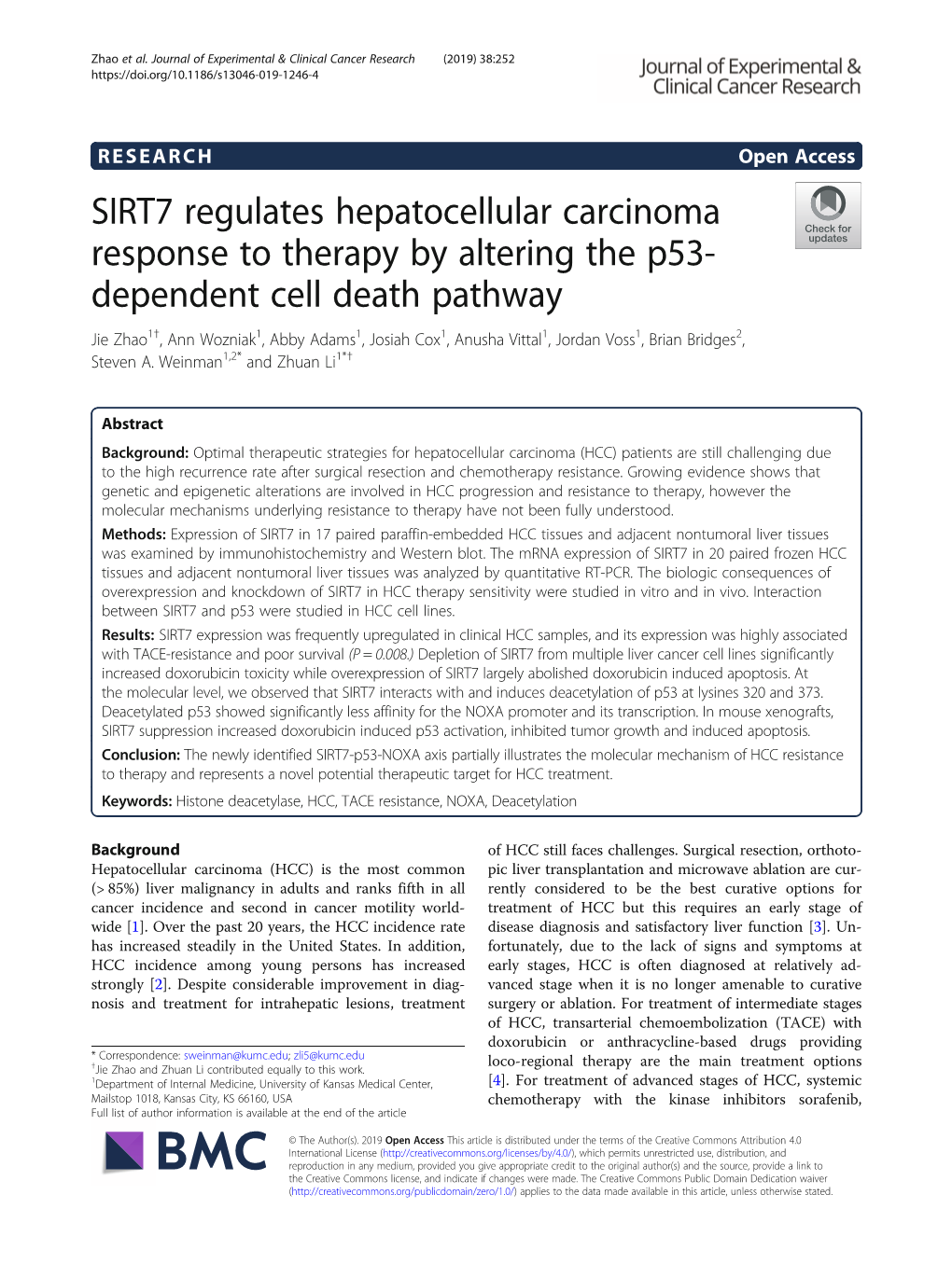 SIRT7 Regulates Hepatocellular Carcinoma Response to Therapy By