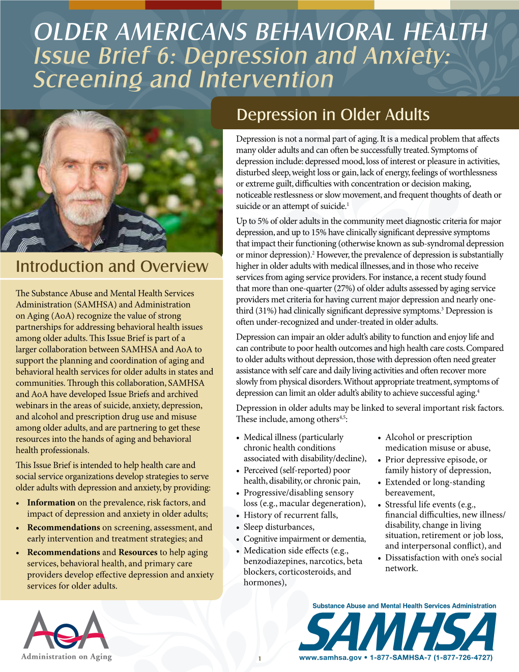 Issue Brief 6: Depression and Anxiety: Screening and Intervention Depression in Older Adults