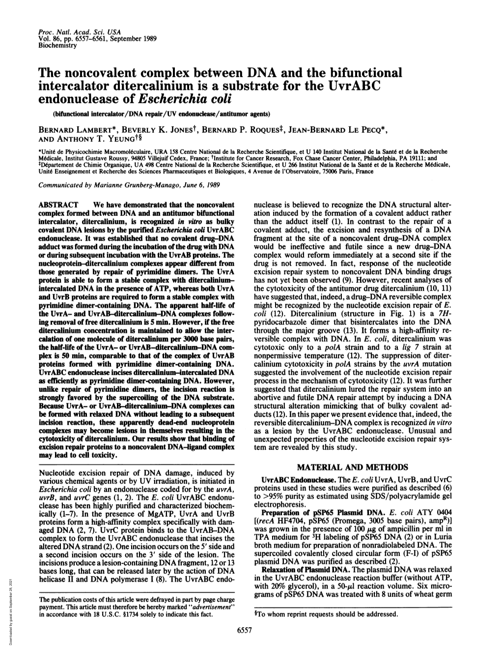 The Noncovalent Complex Between DNA and the Bifunctional