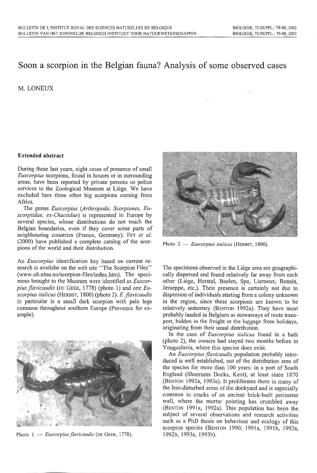 Soon a Scorpion in the Belgian Fauna? Analysis of Some Observed Cases