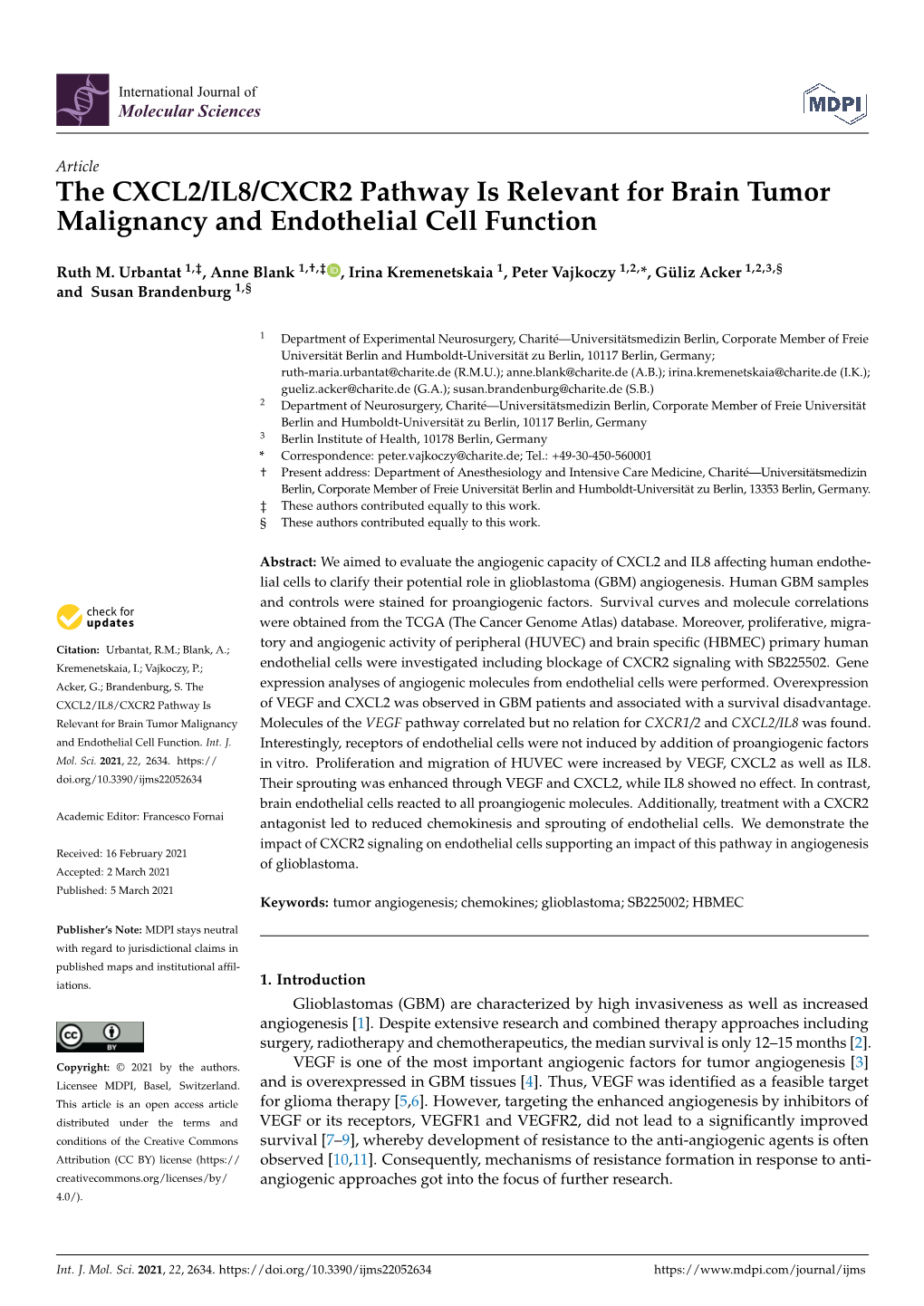 The CXCL2/IL8/CXCR2 Pathway Is Relevant for Brain Tumor Malignancy and Endothelial Cell Function