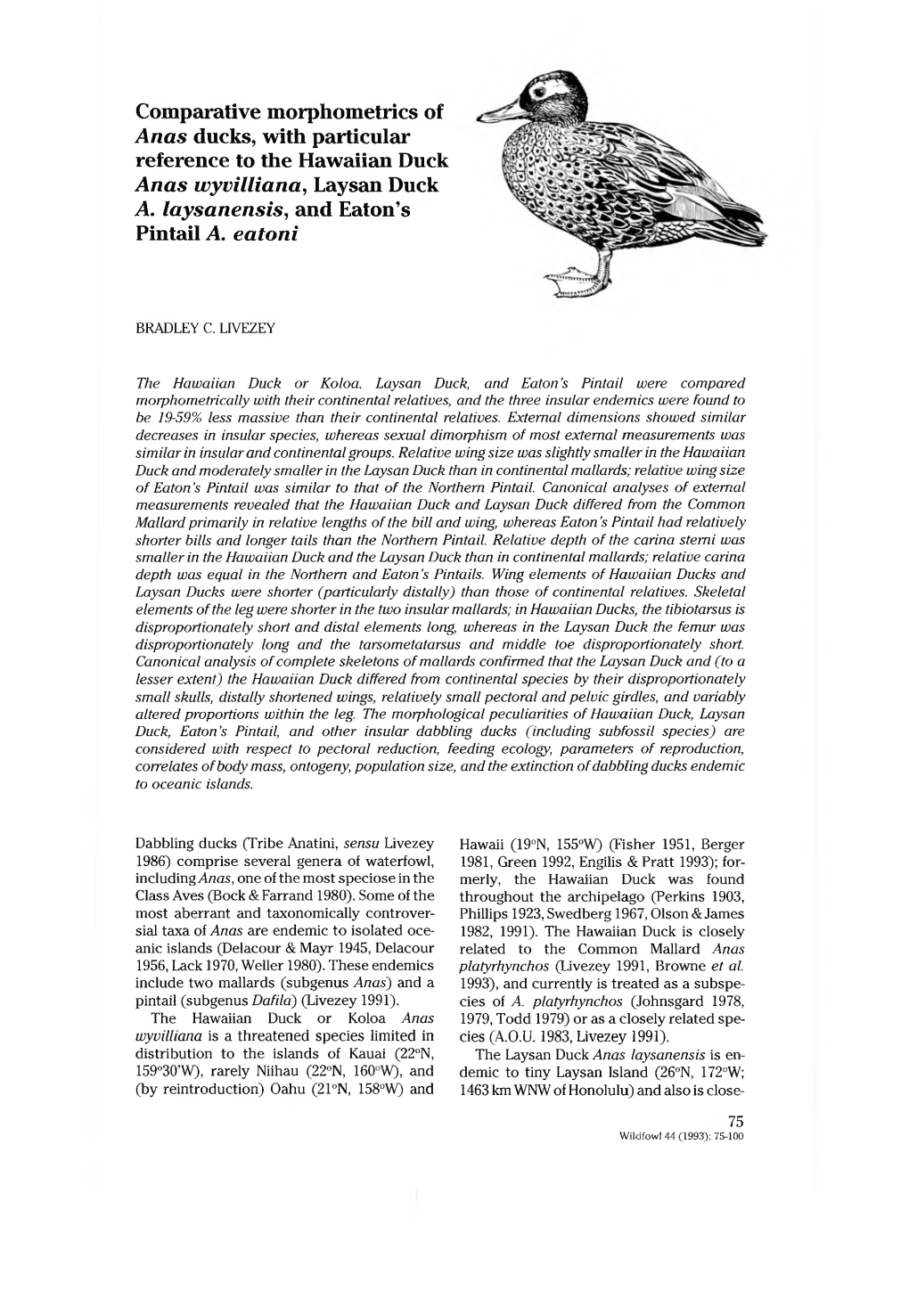 Comparative Morphometries of Anas Ducks, with Particular Reference to the Hawaiian Duck Anas Wyvilliana, Laysan Duck A