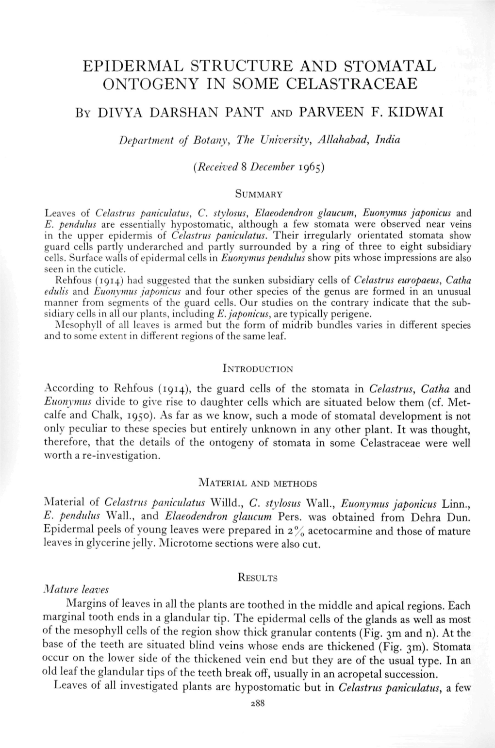 Epidermal Structure and Stomatal Ontogeny in Some Celastraceae