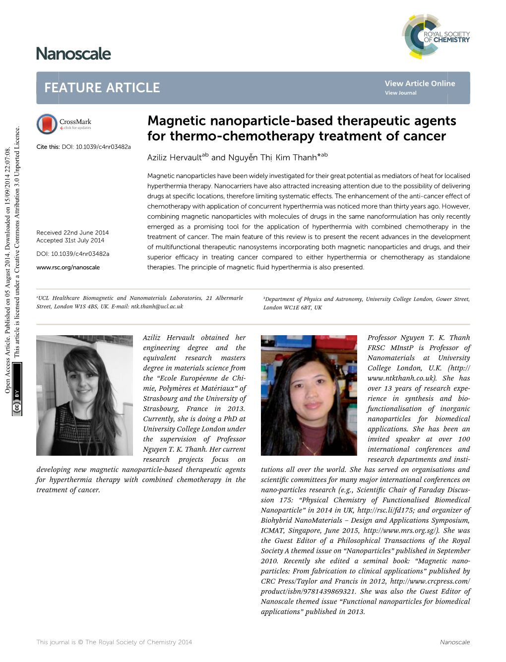 Magnetic Nanoparticle-Based Therapeutic Agents for Thermo