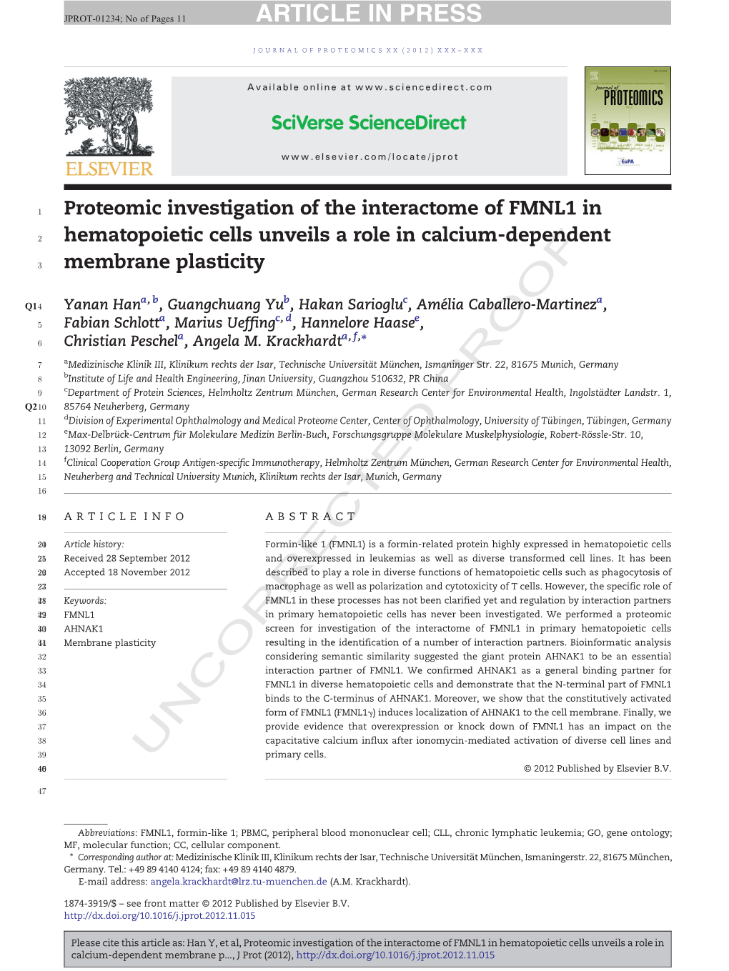 Proteomic Investigation of the Interactome of FMNL1 in 2 Hematopoietic Cells Unveils a Role in Calcium-Dependent 3 Membrane Plasticity