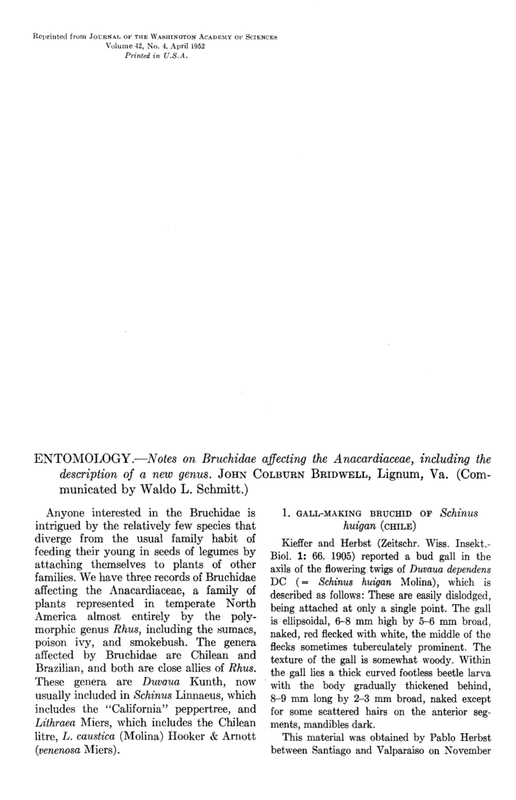 ENTOMOLOGY.-Notes on Bruchidae Affecting the Anacardiaceae, Including the Description of a New Genus