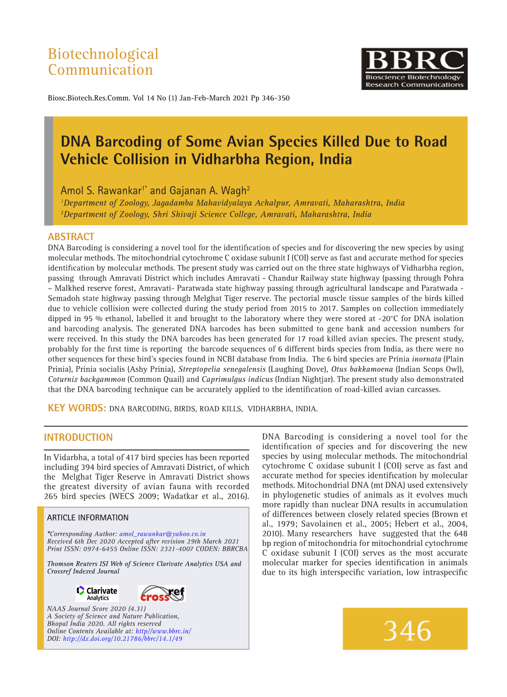 DNA Barcoding of Some Avian Species Killed Due to Road Vehicle Collision in Vidharbha Region, India