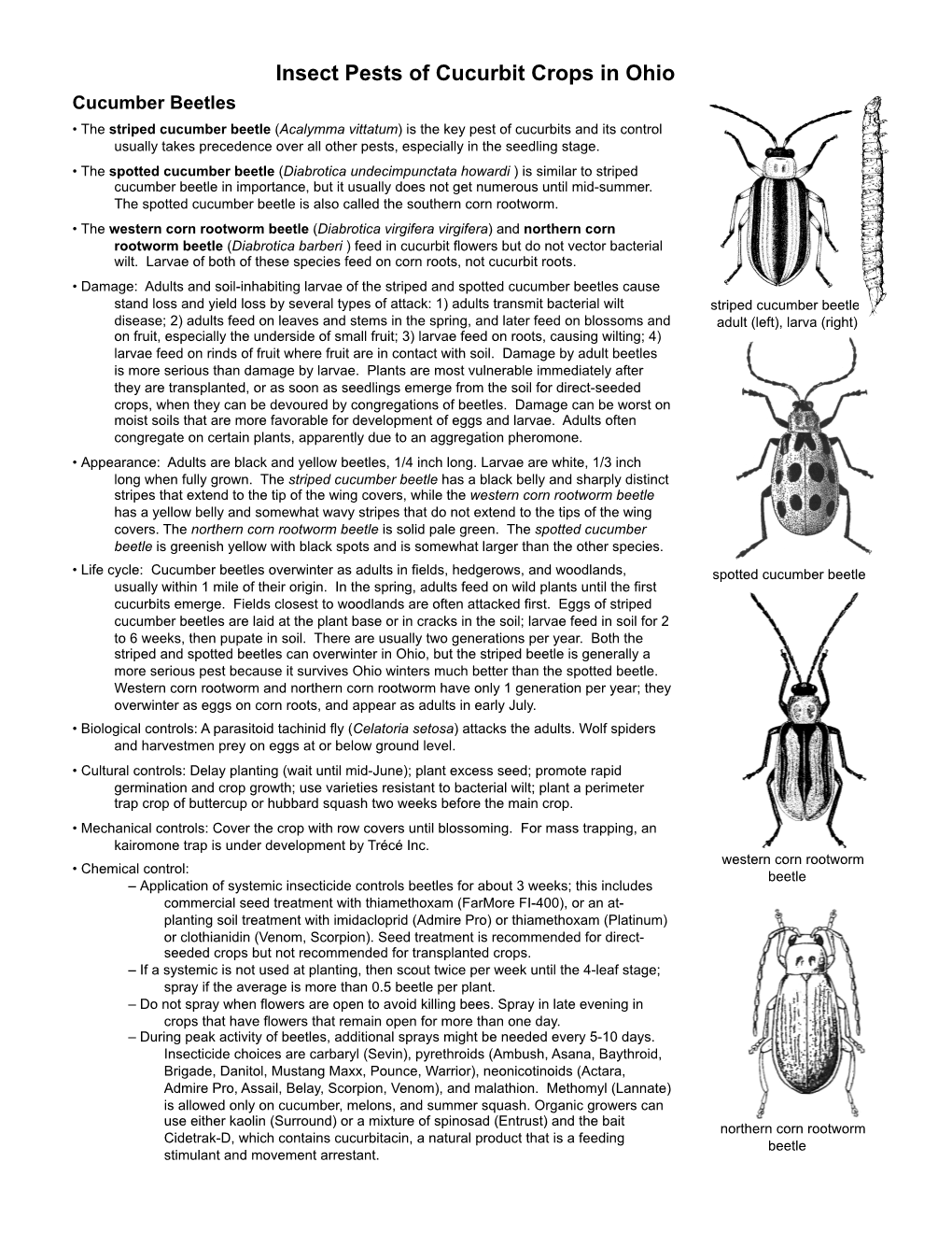 Insect Pests of Cucurbit Crops in Ohio